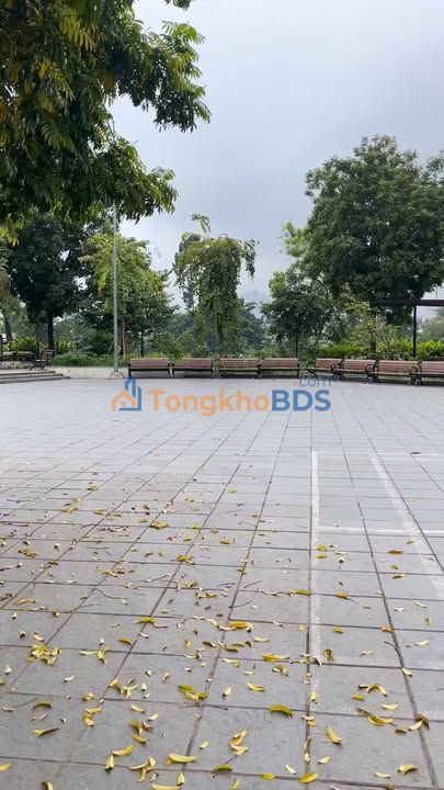 Nhà riêng Lĩnh Nam 42m² giá 7 tỷ - Chính chủ bán gấp