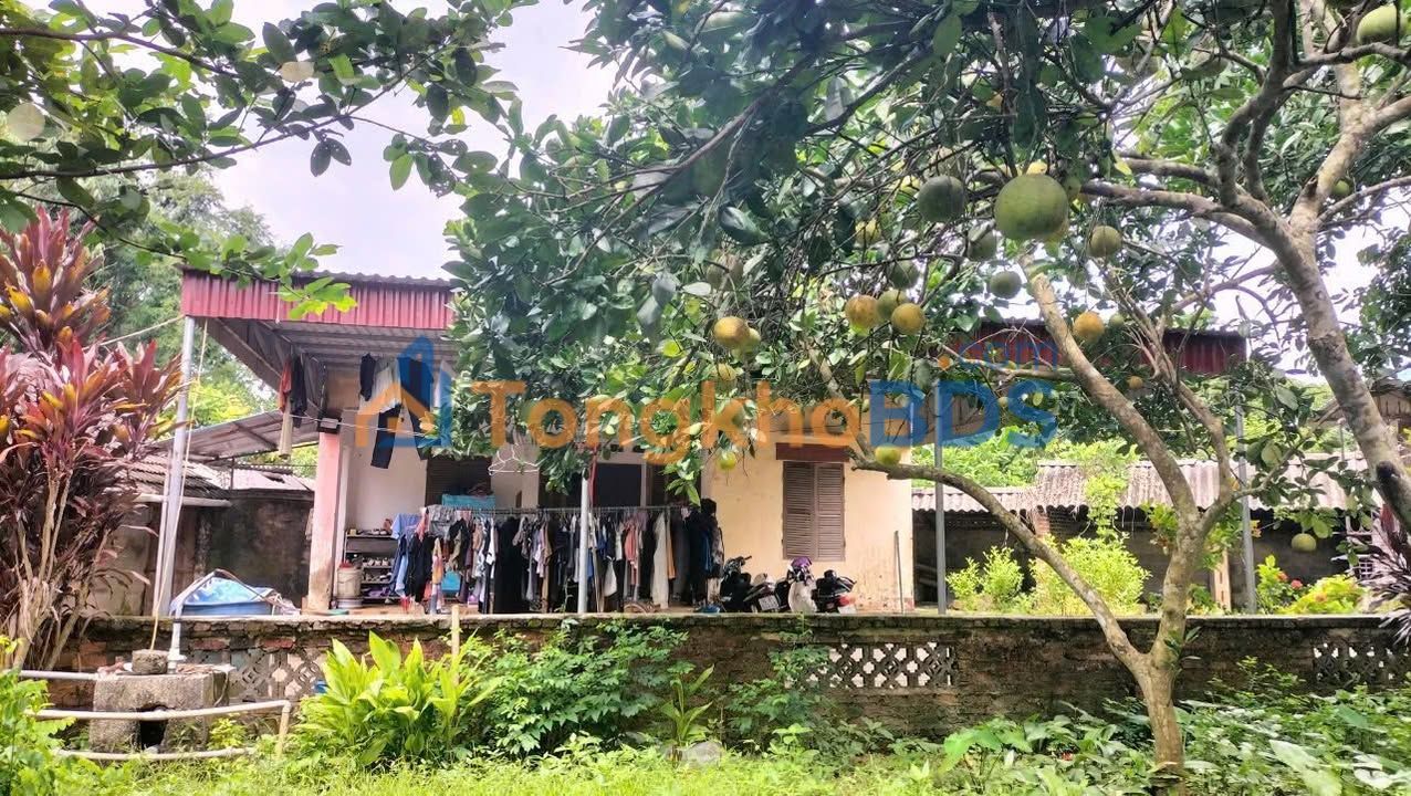 Nhà cấp 4 Xuân Yên Sông Cầu 2.000m² 1 tỷ - Chính chủ bán