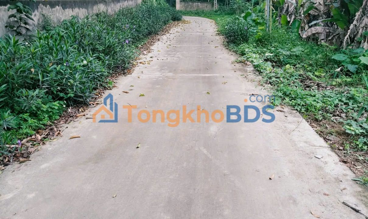 Đất nền Quan Triều Thái Nguyên 2.000m² 3 tỷ - Sổ đỏ