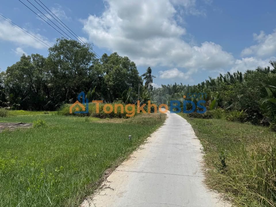 Đất nền Trà Cuôn 210m² 270 triệu - Sổ đỏ chính chủ