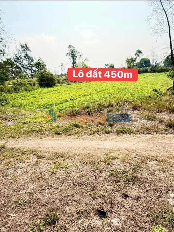 Đất nền Bình Phục 450m² 100 triệu - Tiềm năng tăng giá