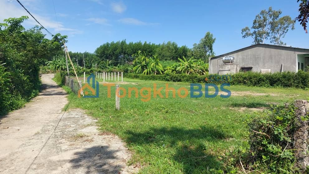 Đất Tam Dân, Phú Ninh 155m² 5XX triệu - Đất thổ cư 100%