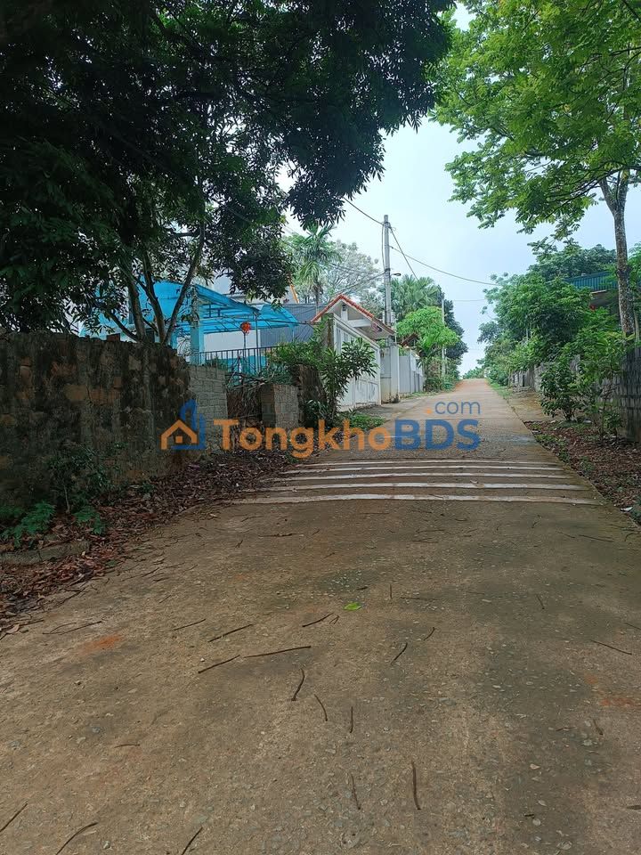 Đất Thôn 2 Đông Sơn 312m² Hàng Bàng - Đầu tư dài hạn