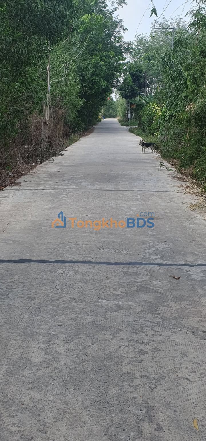 Đất nền Bình Tân Đường 27 500m² 1 tỷ - Sổ đỏ chính chủ