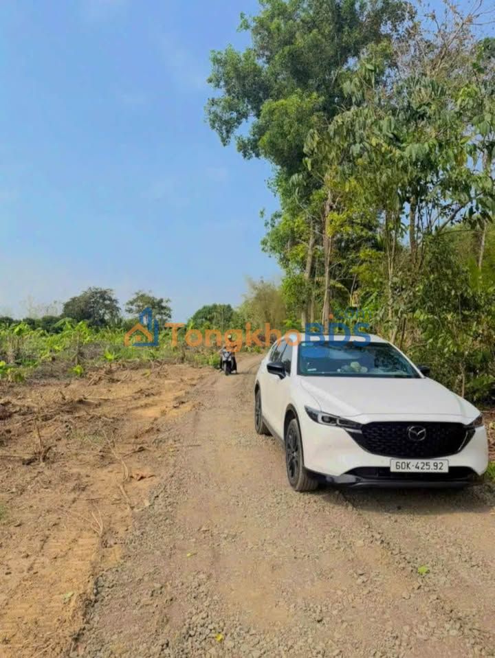 Đất nền Phú Vinh Định Quán 720m² 780 triệu - Đường to ô tô