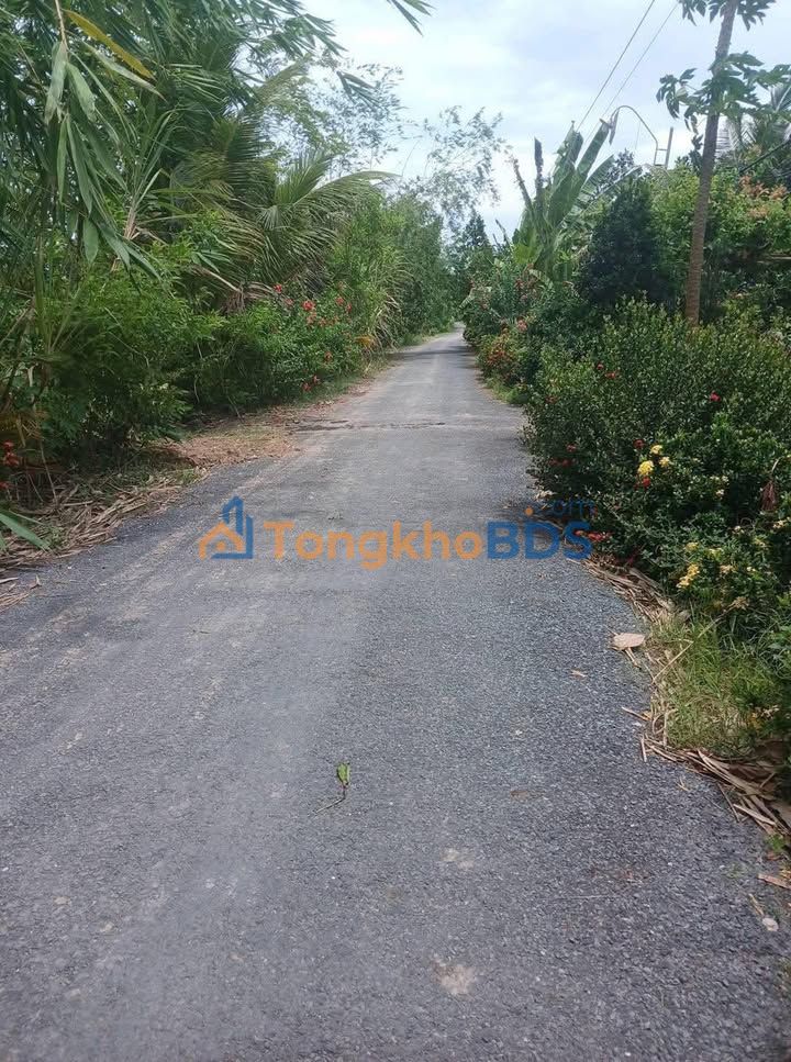 Đất nền Hậu Thành Cái Bè 367m² 690tr - Sổ đỏ chính chủ