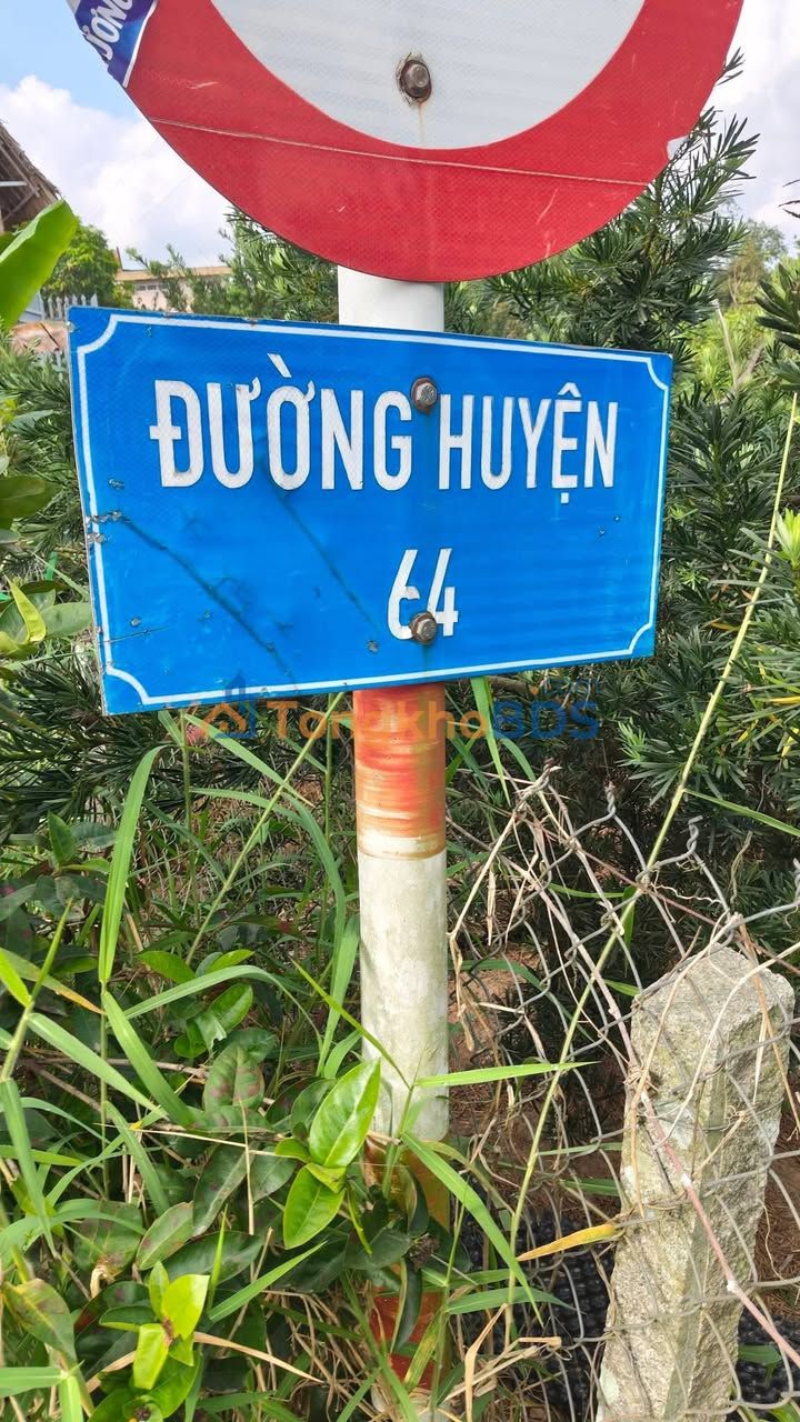 Đất nền Tân Phong Cai Lậy 1.000m² 650 tr - Tiềm năng tăng giá