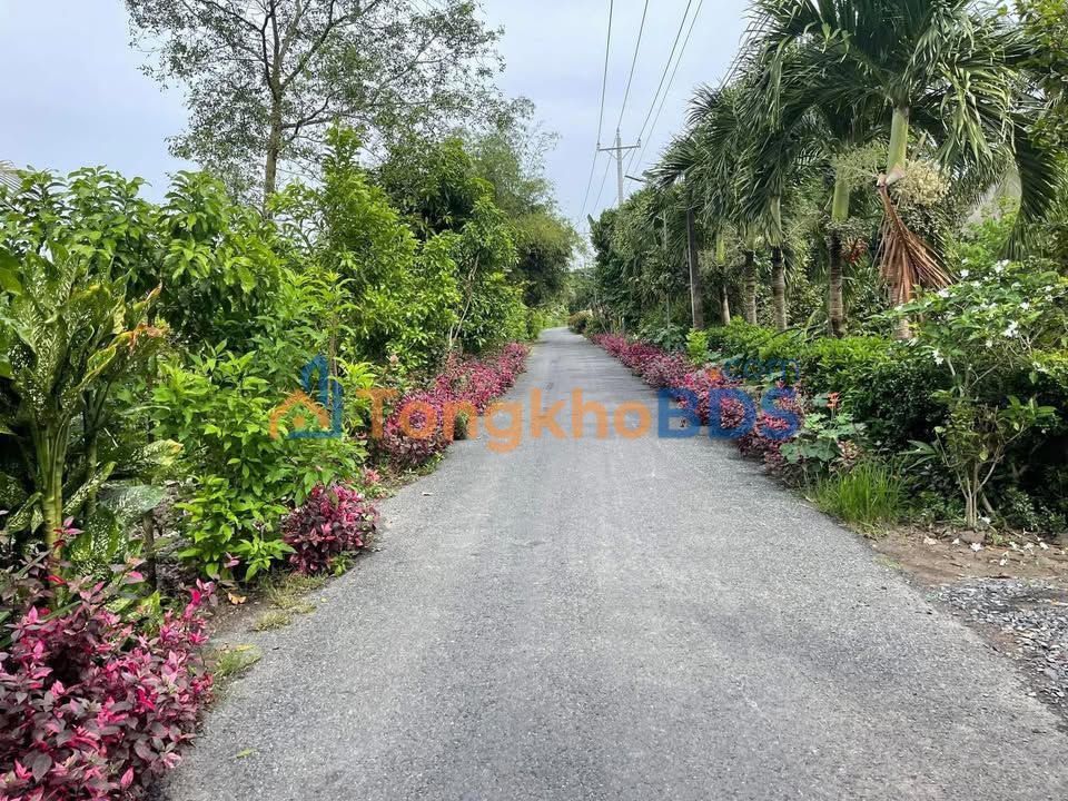 Đất mặt tiền Hậu Thành 367m²/690 triệu - Đường to ô tô