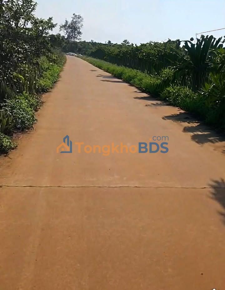 Đất nền Tân Hà Lâm Hà 1.02ha 4.7 tỷ - Giá tốt hiếm có