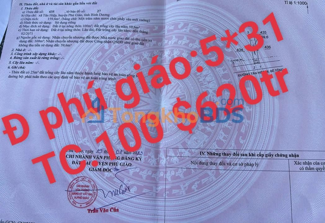 Đất nền Phước Sang Phú Giáo 155m² 620 triệu - Sổ đỏ chính chủ