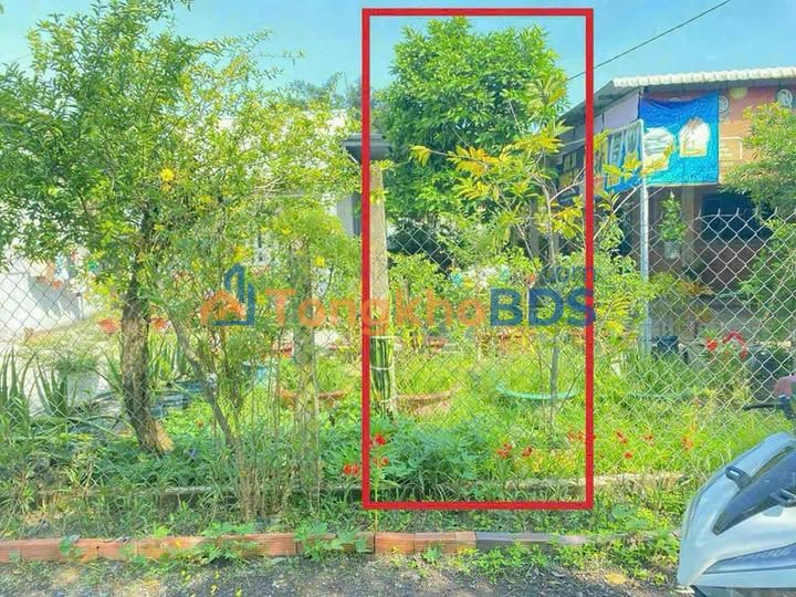 Đất Đức Hòa Hạ 132m² 950 triệu - Sổ đỏ chính chủ