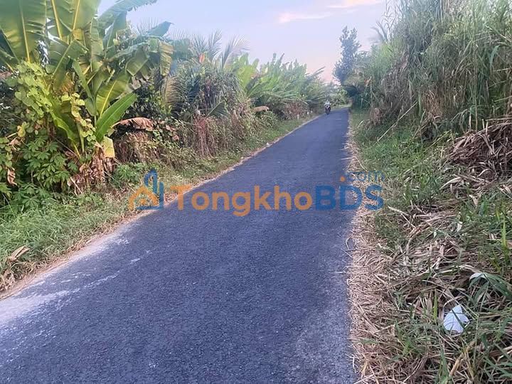 Đất nền TX Bình Minh Vĩnh Long 139m² giá 490 triệu - Sổ đỏ chính chủ