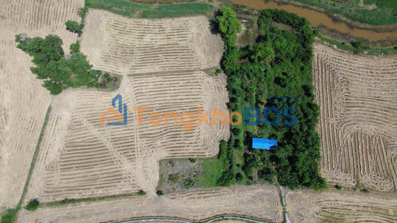 Đất nền Mỹ Lộc Long An 10.446m² 6,5 tỷ - Sổ đỏ chính chủ