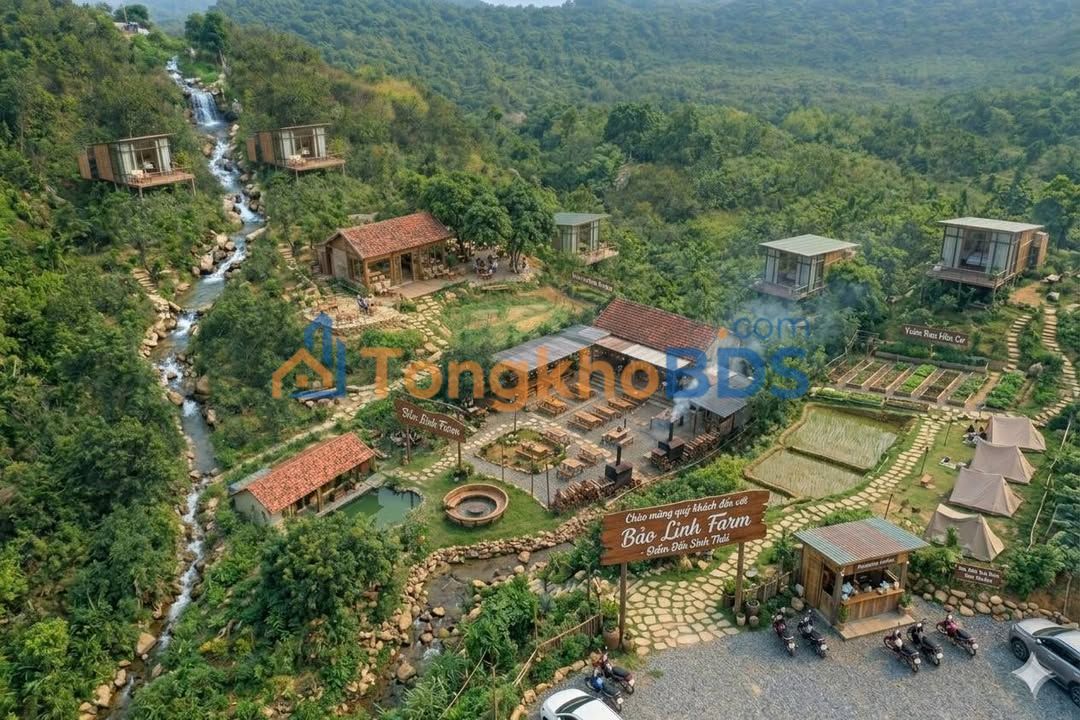 Đất vườn đồi Đại Huệ Vinh 20.000m² giá 1 tỷ - Đầu tư dài hạn