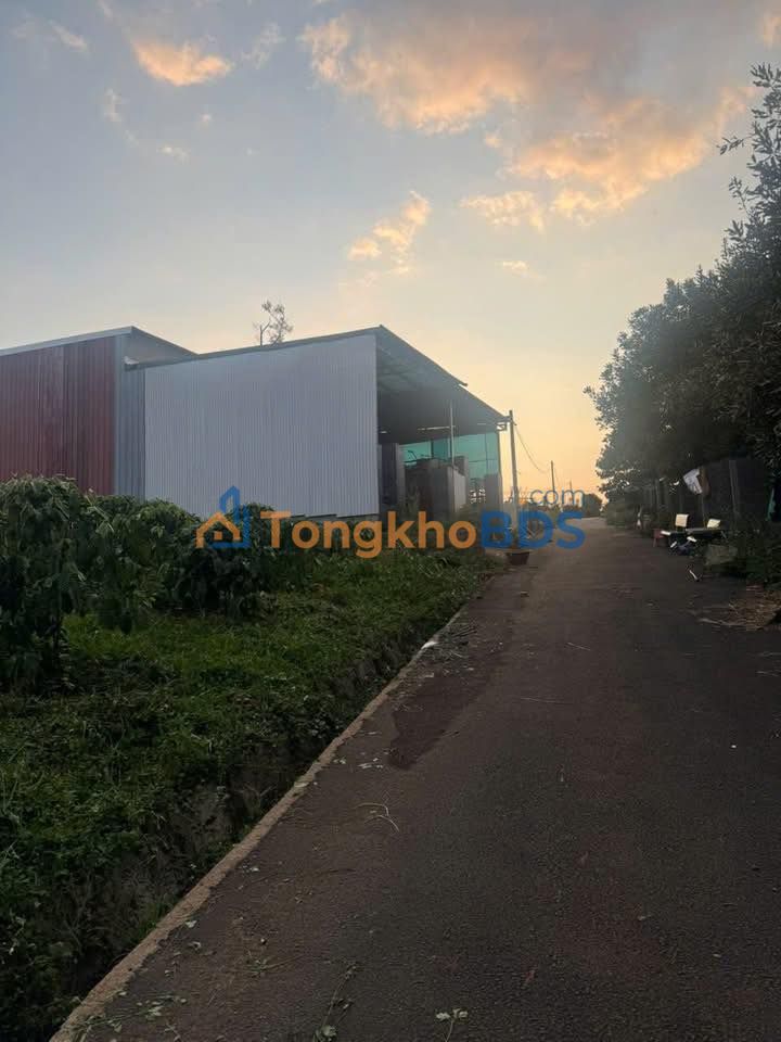 Đất nền Bảo Lâm 1 Dầu Tiếng 567m² 1,85 tỷ - Đường ô tô