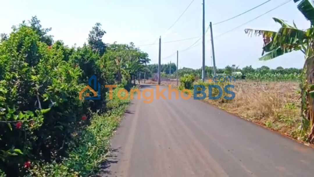 Đất nền Láng Lớn Châu Đức 8.000m² 7,5 tỷ - Sổ đỏ chính chủ