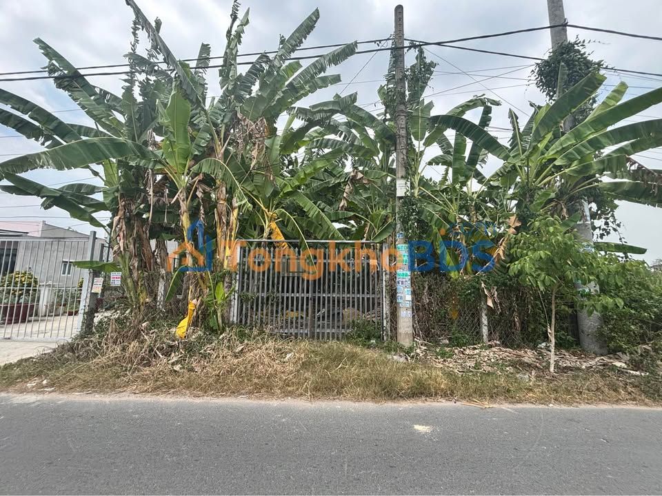 Đất nền Củ Chi Trần Quang Đạo 409m² 5.7 tỷ - Đường to ô tô