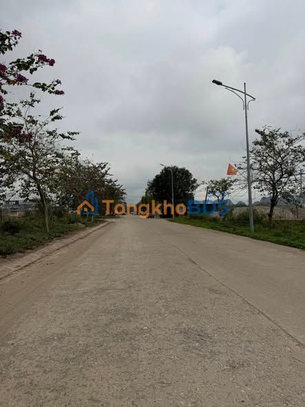 Đất nền Nho Quan 100m² 1.9 tỷ - Pháp lý rõ ràng