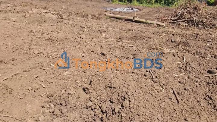 Farm Xã Đắk Rla H. Đắk Min 2,2ha 1,249 tỷ - Sổ đỏ chính chủ