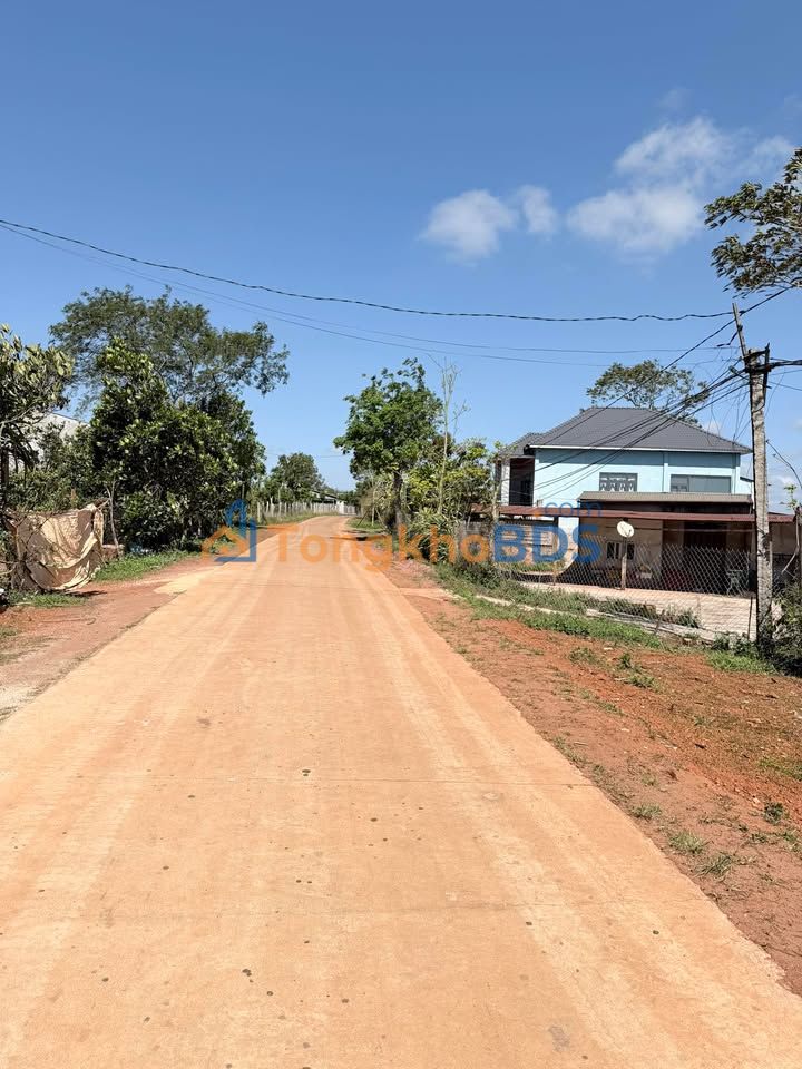 Đất nền Đức An Đắk Song 750m² 1.2 tỷ - Đường to ô tô