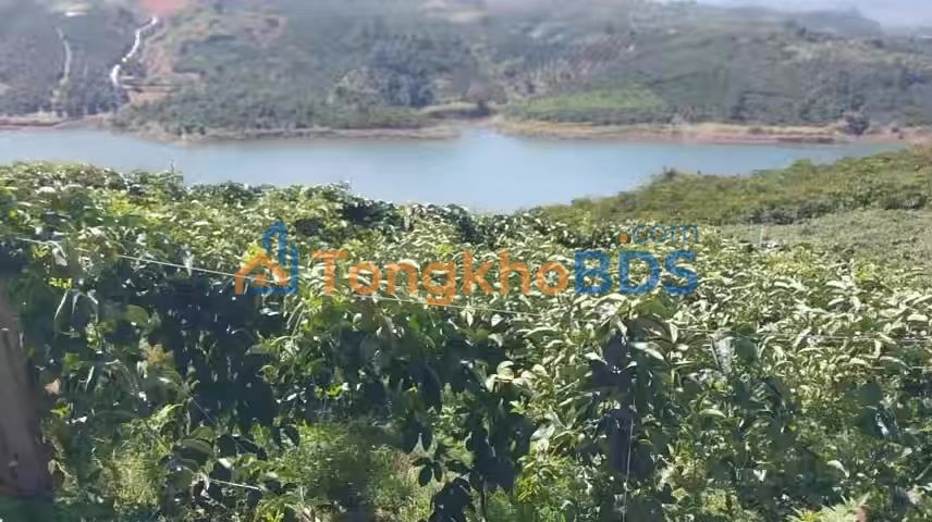 Đất nền Tân Thanh Lâm Hà 1.9ha Sổ đỏ chính chủ