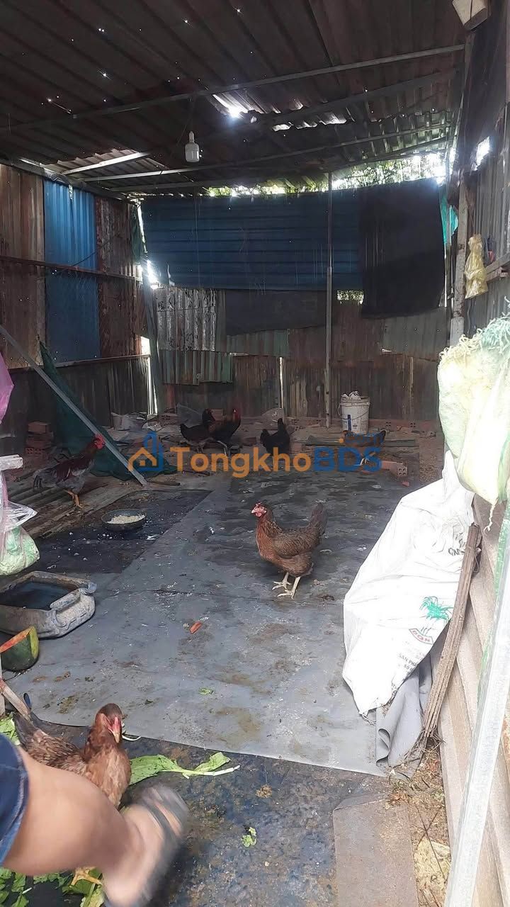 Đất Ấp 6 Bình Chánh 64m² giá 690 triệu - Sổ đỏ chính chủ