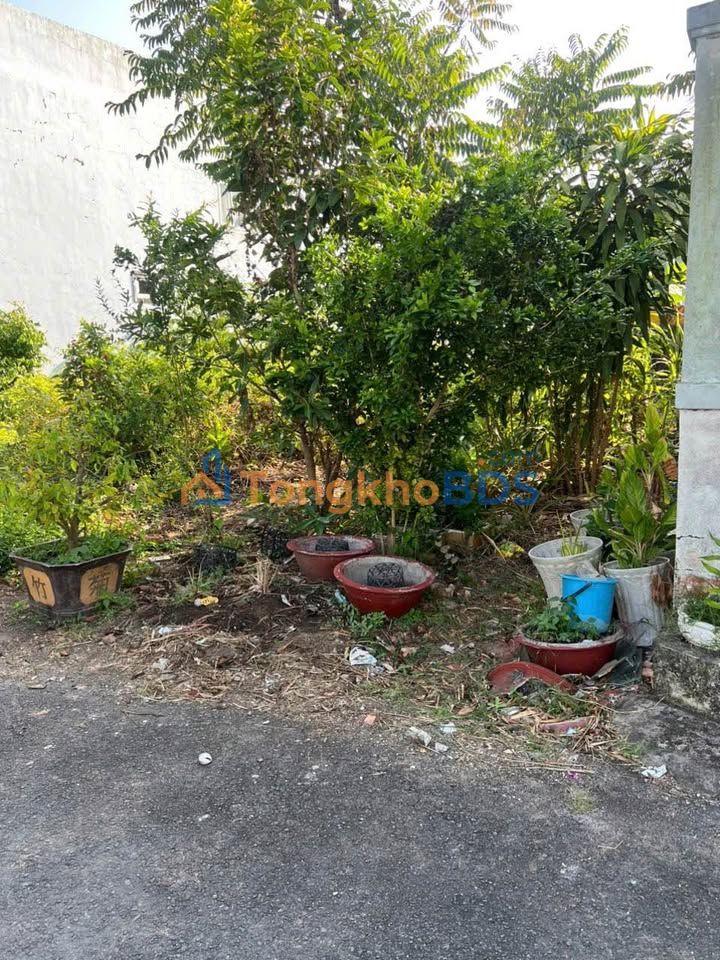 Đất Trà Vinh Hòa Lợi 110m² 420 triệu - Đất thổ cư 100%