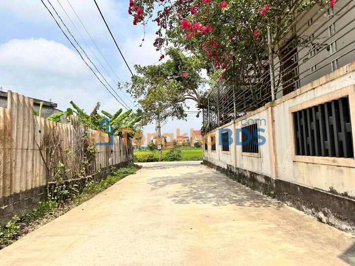 Đất nền Tân Lâm Hương 129m² 1.6 tỷ - Tiềm năng tăng giá