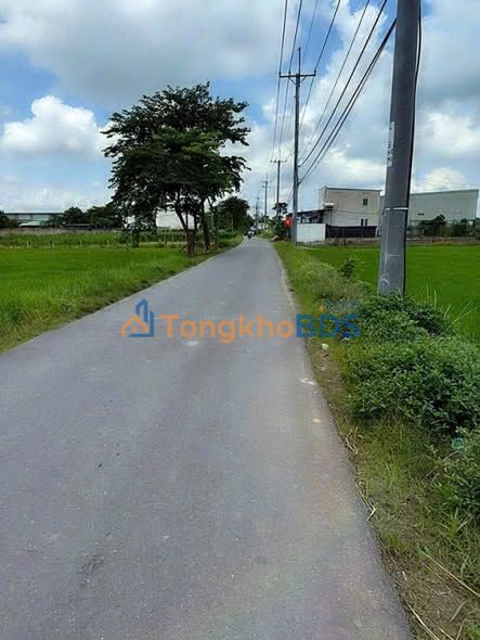 Đất nền Tân Thạnh Đông Củ Chi 700m² giá 6 tỷ - Sổ đỏ chính chủ