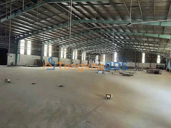 Warehouse Tân Thạnh Đông 7.500m² 53 tỷ - Diện tích lớn