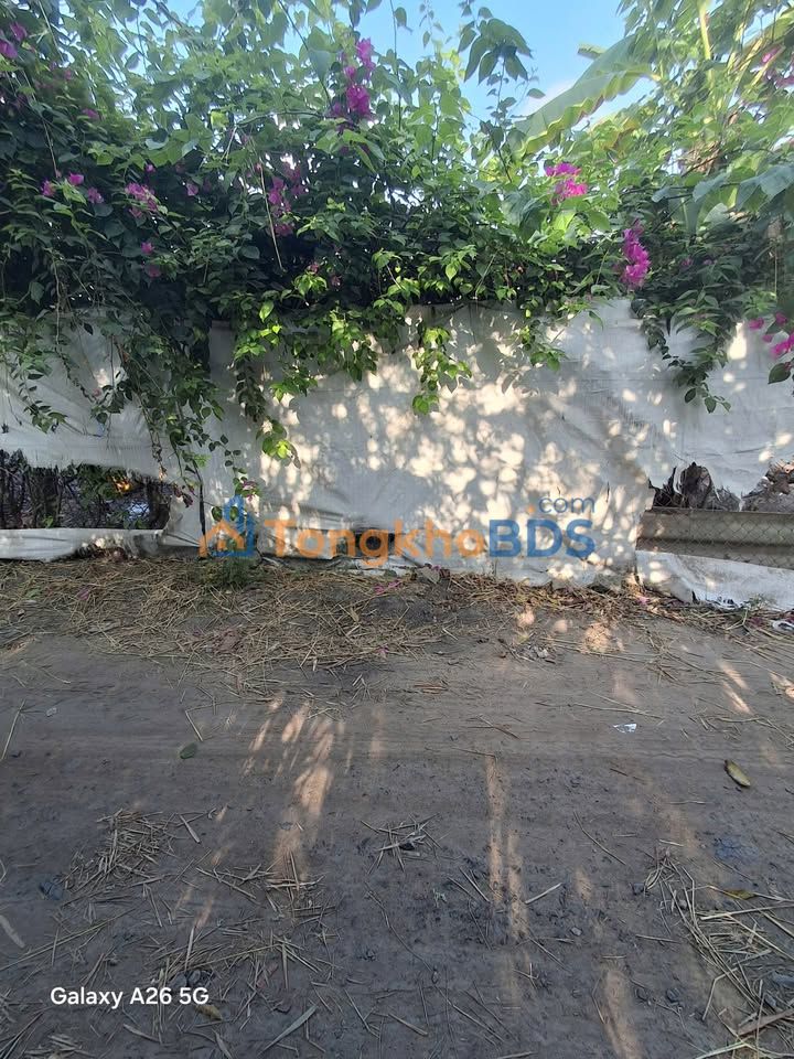 Đất nền Mỹ Hạnh Nam Long An 720 triệu - Sổ đỏ chính chủ