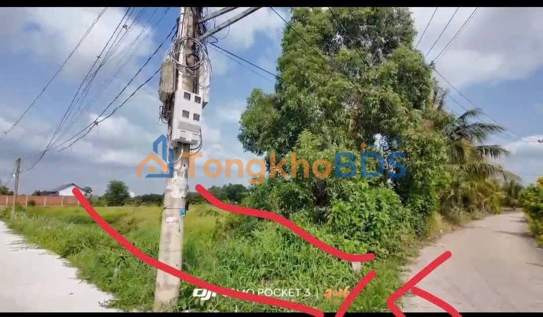 Đất xã Tân Bửu Bến Lức 200m2 2.5 tỷ - Sổ đỏ chính chủ