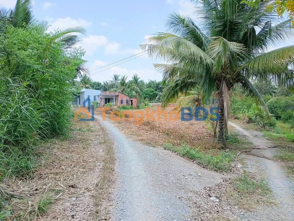 Đất nền Ấp 6 Bình Đức 226m² giá 580 triệu - Hạ tầng hoàn thiện