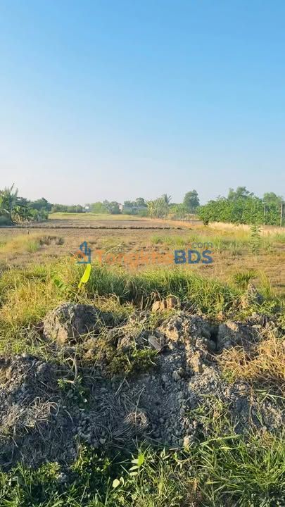 Đất Mỹ Lộc Long An 300m²/2.25 tỷ - Pháp lý rõ ràng