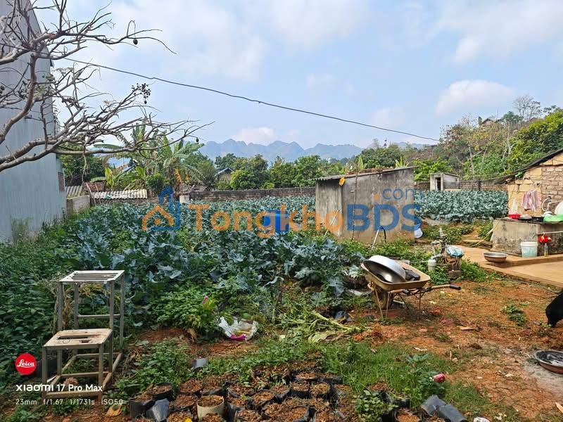 Đất nền Mộc Sơn Mộc Châu 609m² - Sổ đỏ chính chủ