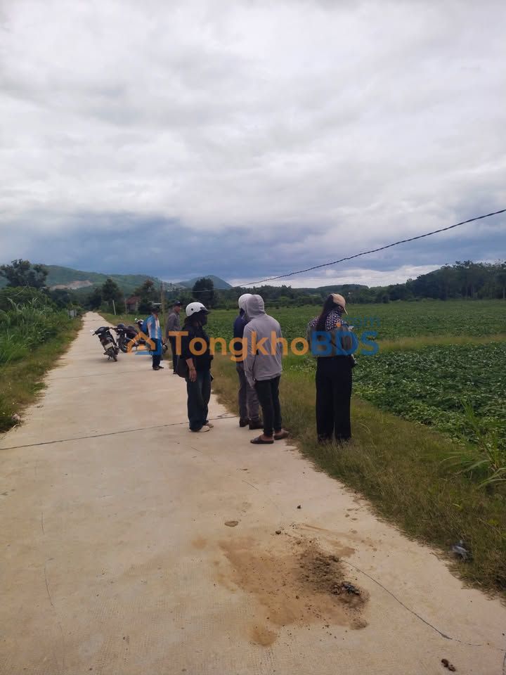 Farm yến Ea Kly 1.350m² giá 1 tỷ - Đầu tư dài hạn