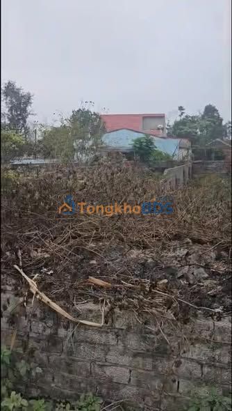 Đất thổ cư Hoằng Phụ 125m² giá 8xx triệu - Sổ đỏ vị trí giao thương