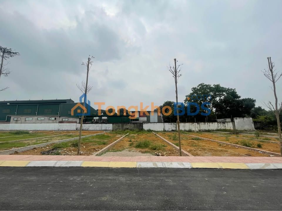 Đất nền Đồng Trạng 124m² - Sổ đỏ chính chủ