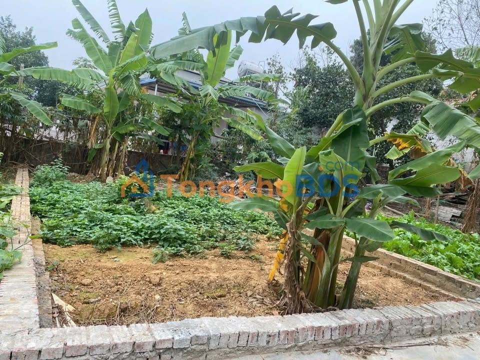 Đất thị trấn Sóc Sơn 43m² 1 tỷ - Sổ đỏ chính chủ