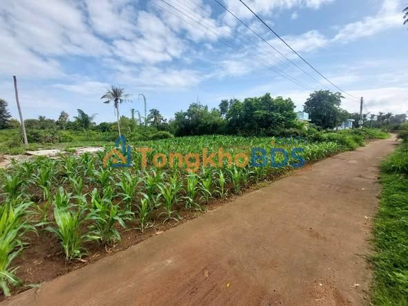 Đất nền Ea Na Ea H'leo 1.600m² 1.1 tỷ - Giá tốt hiếm có