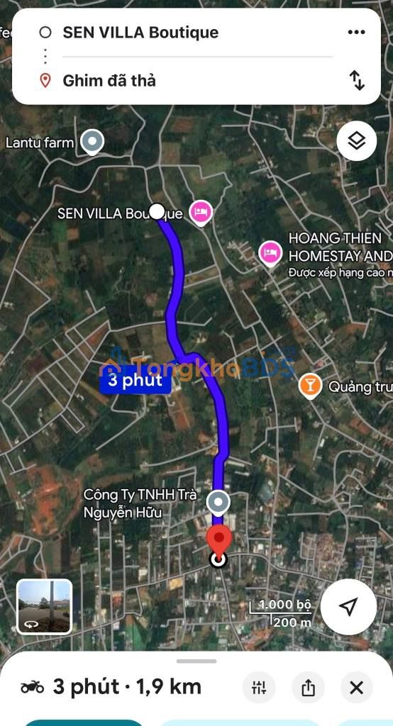 Đất nền Đà Lạt Nguyễn Tri Phương 1.385m² 12.8 tỷ - Đầu tư dài hạn