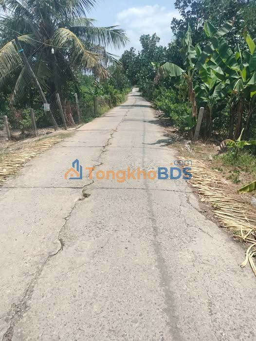 Đất nền Tân Mỹ Thanh Bình 195m² giá 550 triệu - Sổ hồng riêng