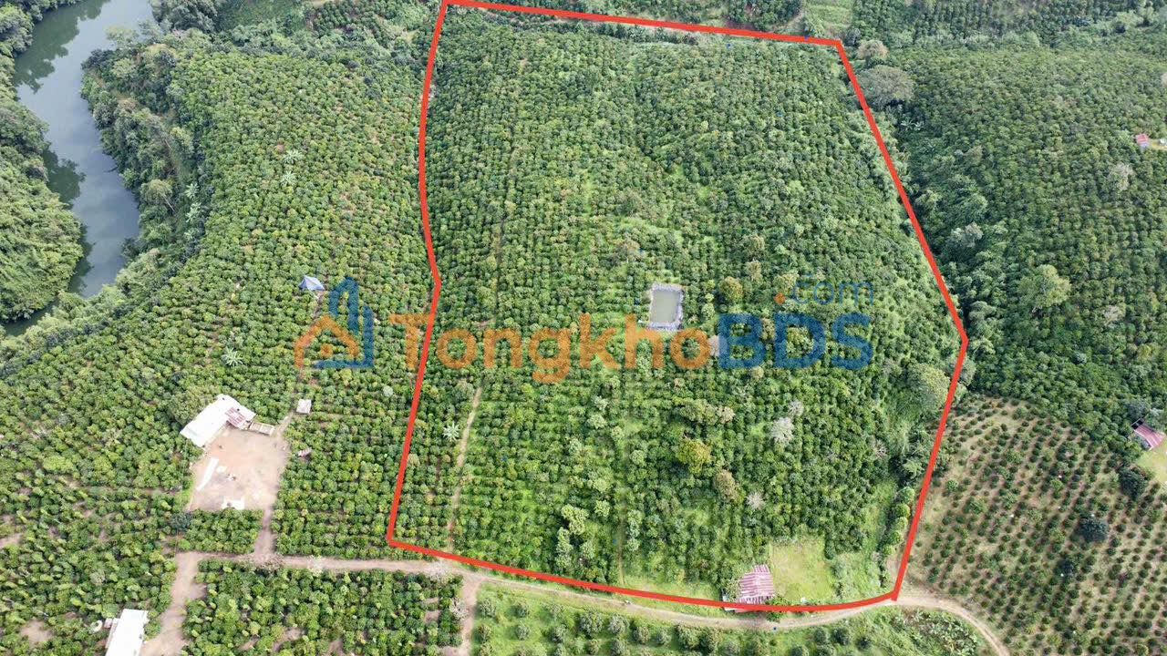 Đất Tân Nghĩa Di Linh 27.000m² 20.25 tỷ - Ô tô vào
