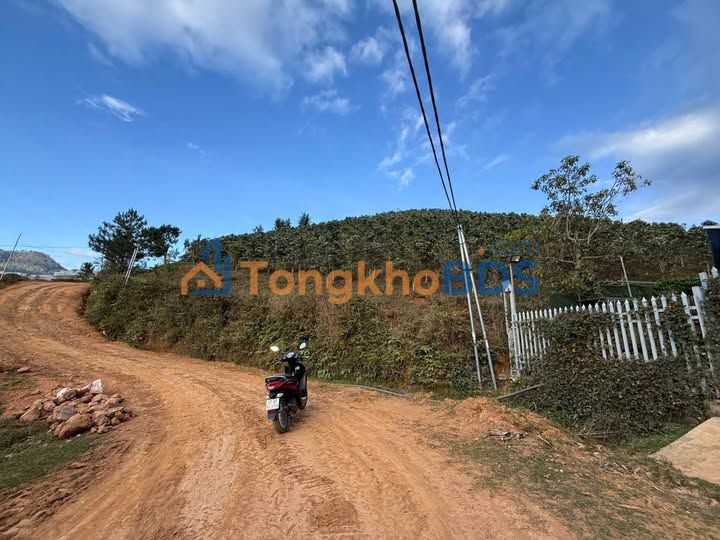 Đất vườn Langbiang P7 4000m2 4 tỷ - Đầu tư dài hạn