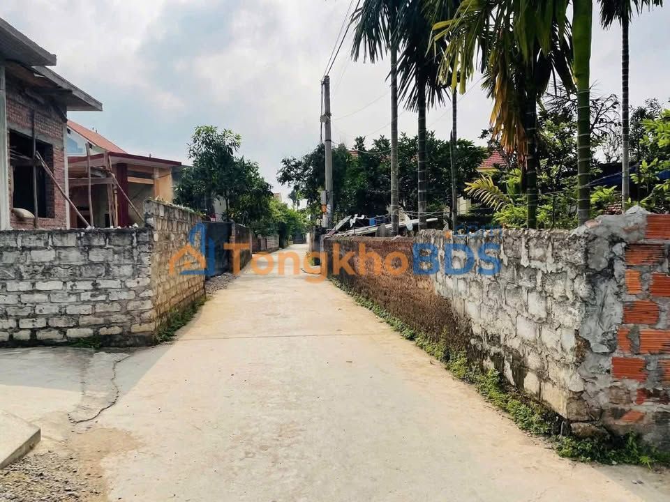 Đất nền Chính Mỹ Thủy Nguyên 74m² 8xx triệu - Giá tốt hiếm có