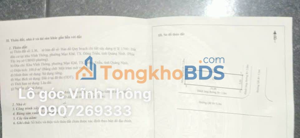 Đất nền Vĩnh Thông Mạo Khê 100m² 2.5 tỷ - Đường to ô tô