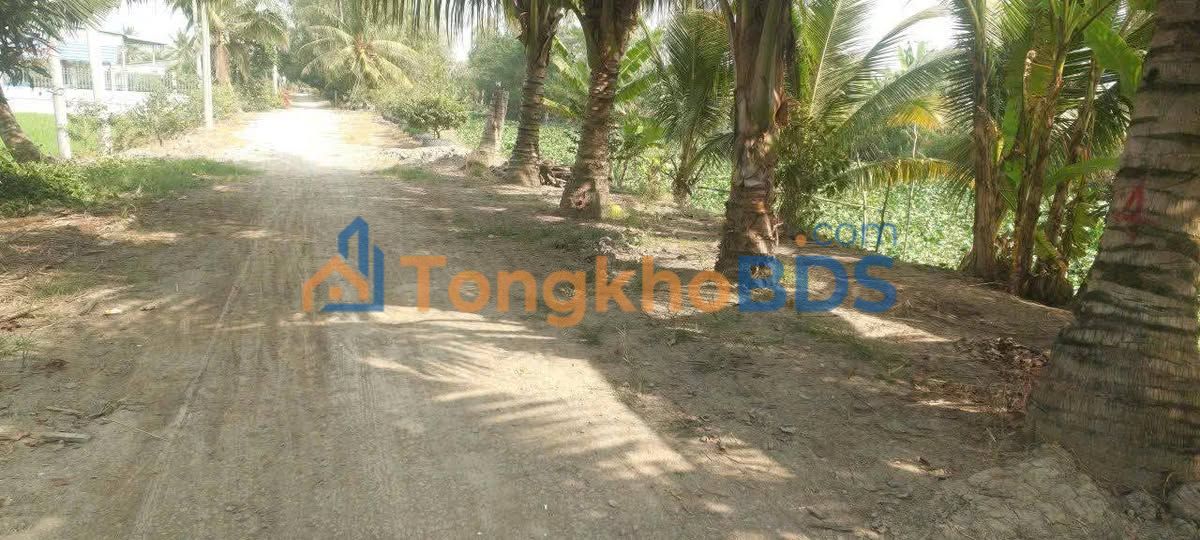 Đất nền Vĩnh Bình Châu Thành 5ha 9.25 tỷ - Sổ đỏ chính chủ