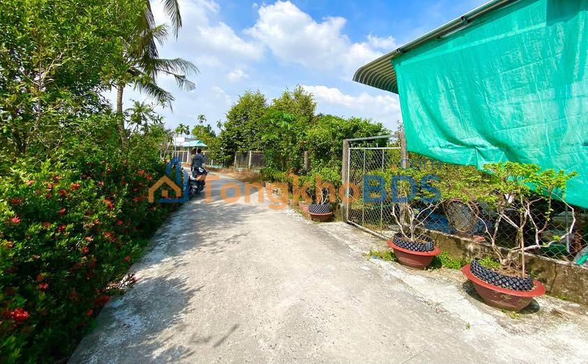 Đất nền Phước Thới Ô Môn 82m² 540 triệu - Sổ đỏ chính chủ