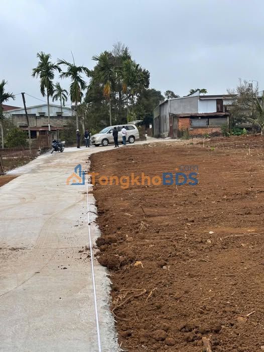 Đất nền hẻm Lý Chiêu Hoàng Buôn Hồ 225m² 480tr - Đường ô tô