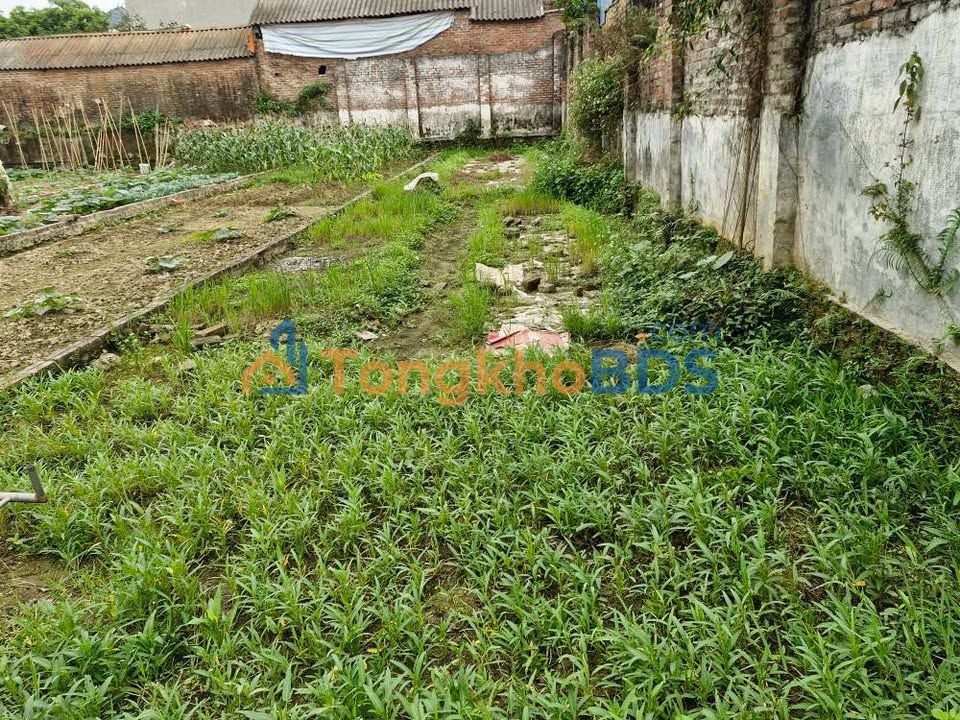 Đất nền Xã Đa Phúc Sóc Sơn 100m² 1 tỷ - Sổ đỏ chính chủ